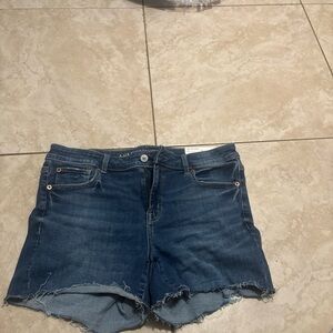 American Eagle Outfitters Blue Jean Shorts